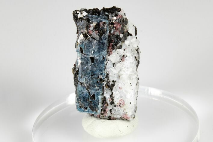 Blue Kyanite & Garnet in Biotite-Quartz Schist - Russia #178931